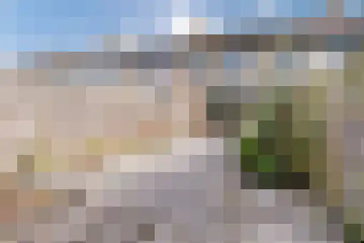 De Lariks 12 Duiven thumbnail 31