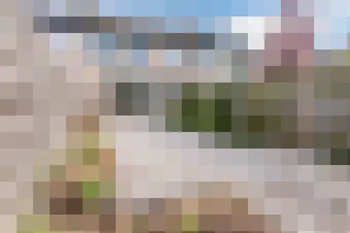 De Lariks 12 Duiven thumbnail 32