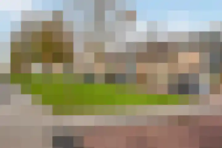 De Lariks 12 Duiven thumbnail 4