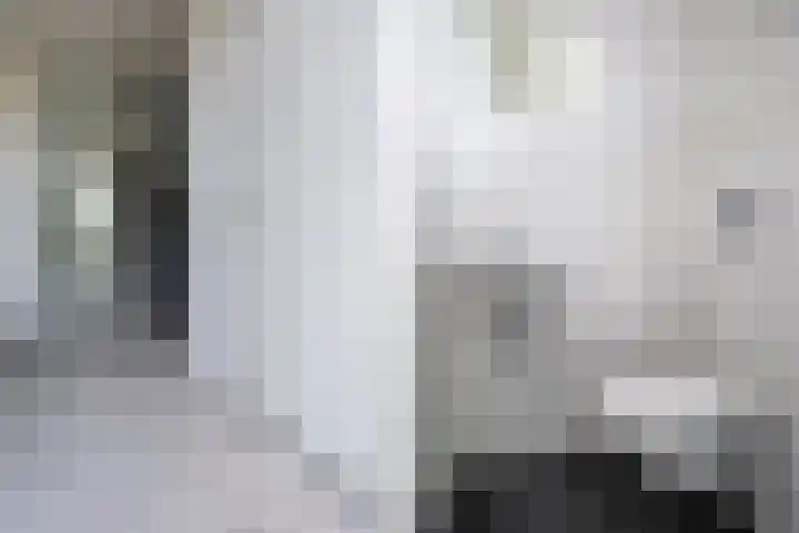 De Lariks 12 Duiven thumbnail 8