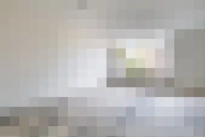 De Lariks 12 Duiven thumbnail 9