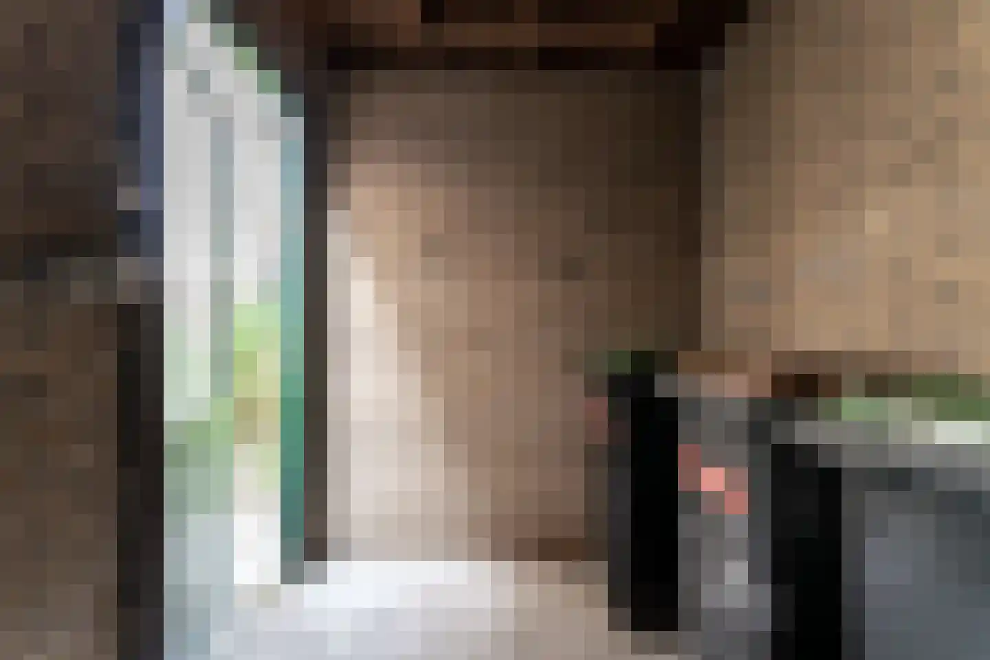 De Lariks 6 Duiven thumbnail 11