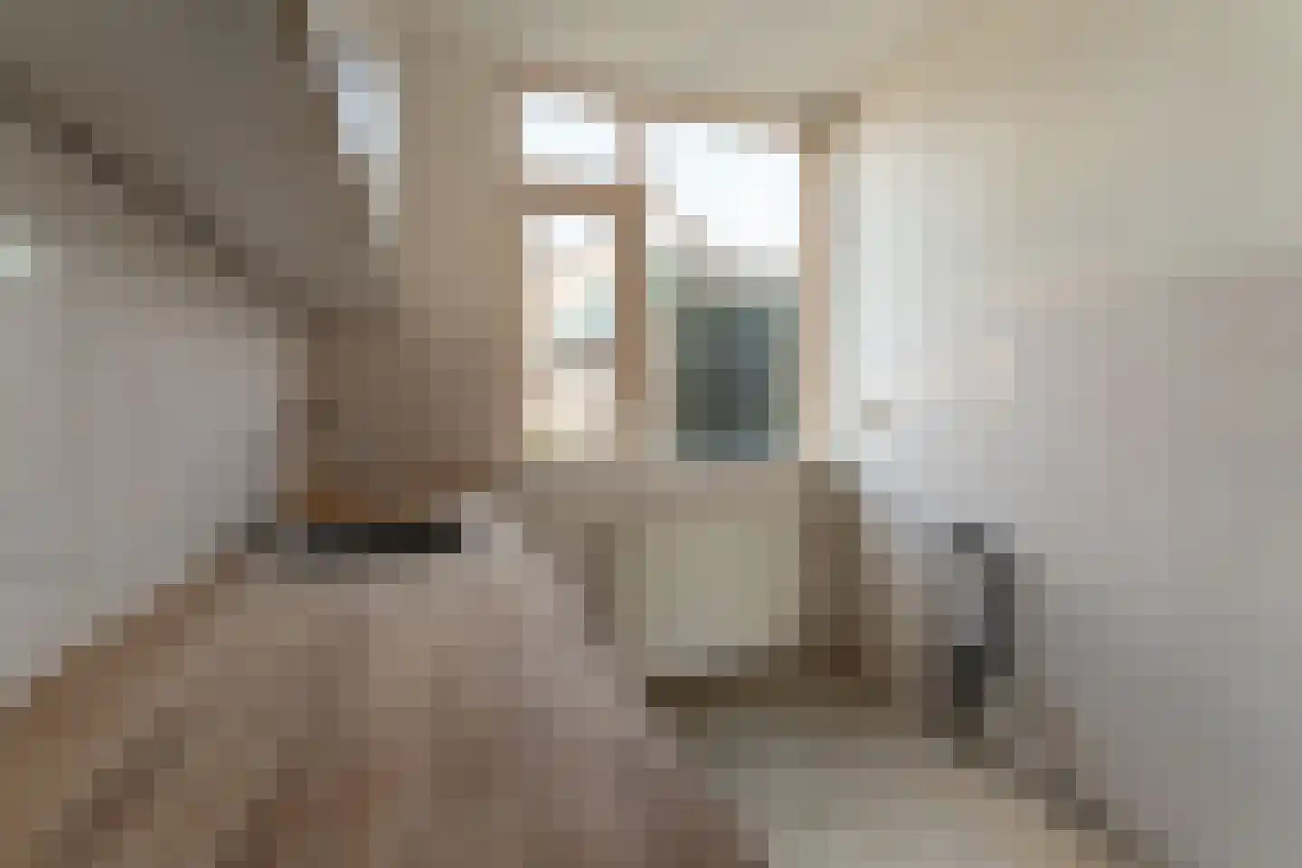De Lariks 6 Duiven thumbnail 22