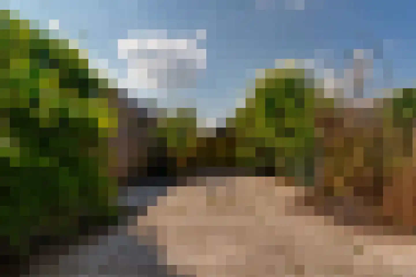 De Lariks 6 Duiven thumbnail 26