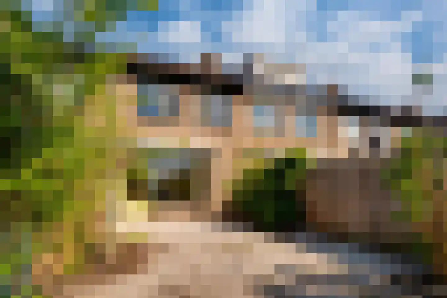 De Lariks 6 Duiven thumbnail 29