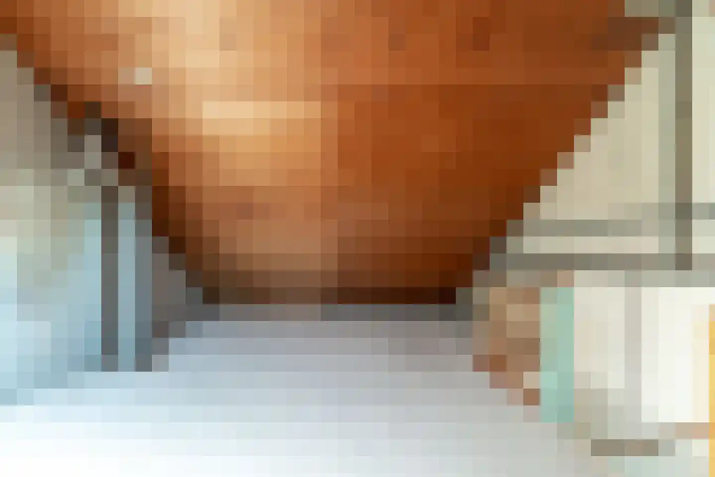 De Lariks 6 Duiven thumbnail 46