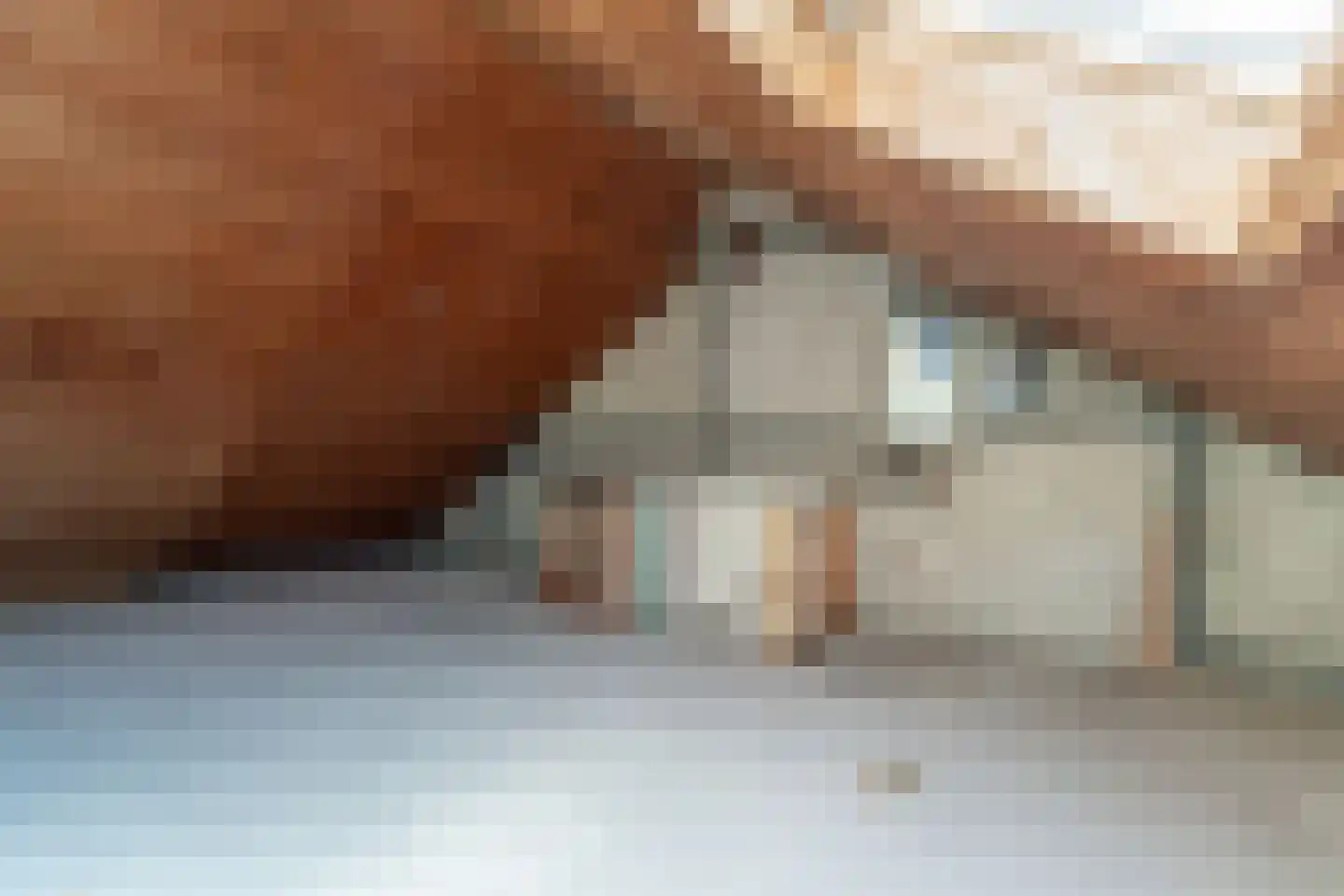 De Lariks 6 Duiven thumbnail 47