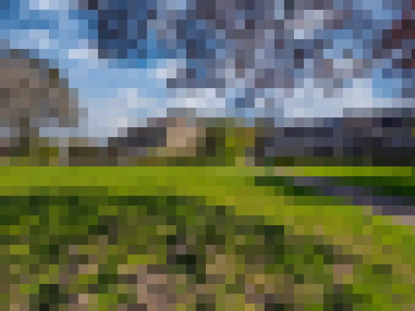 De Lariks 6 Duiven thumbnail 49