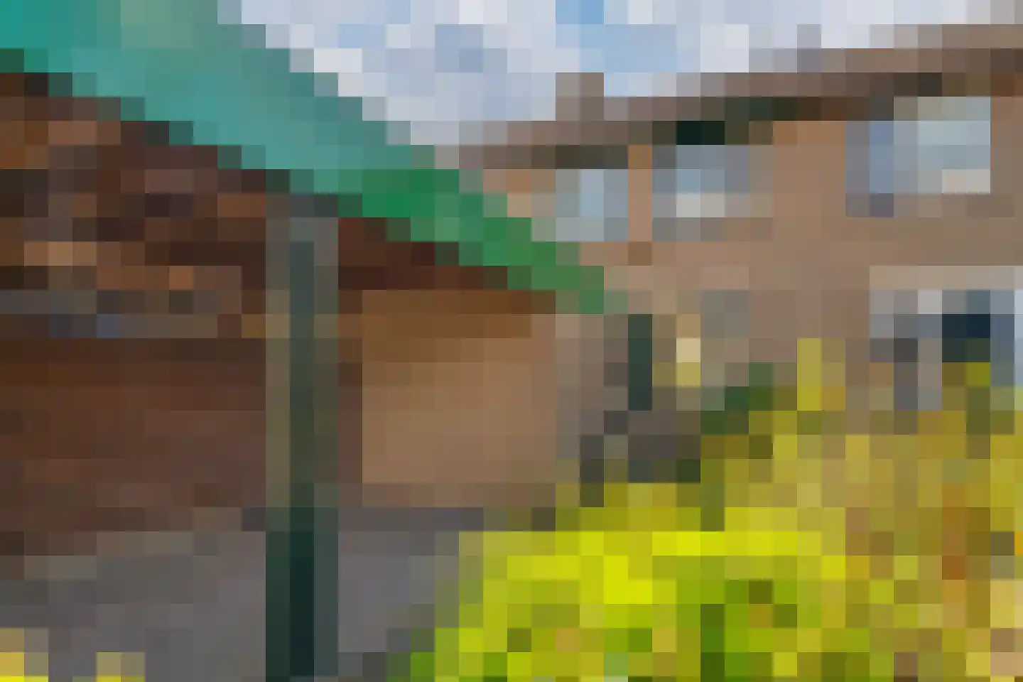 De Lariks 6 Duiven thumbnail 6