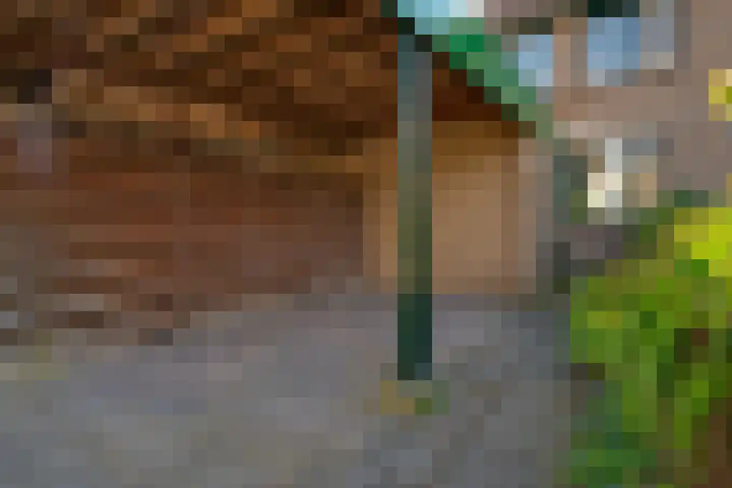 De Lariks 6 Duiven thumbnail 8