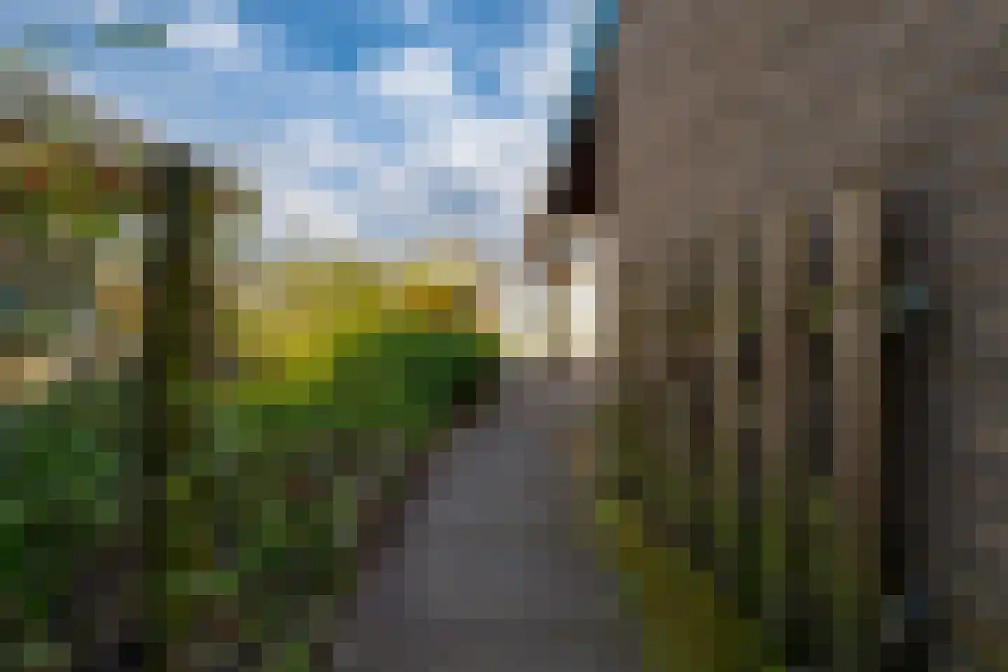 De Lariks 6 Duiven thumbnail 9