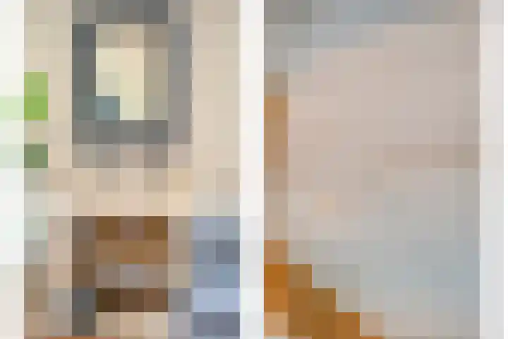 De Larinck 4 Den Ham thumbnail 13