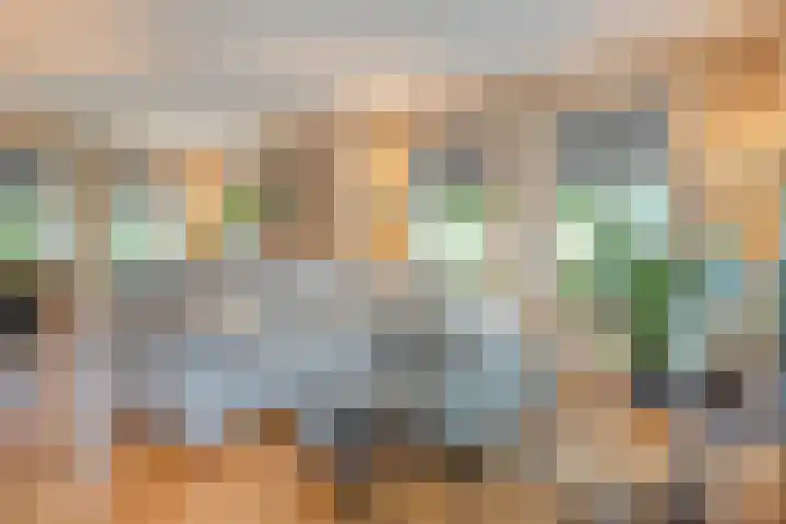 De Larinck 4 Den Ham thumbnail 15