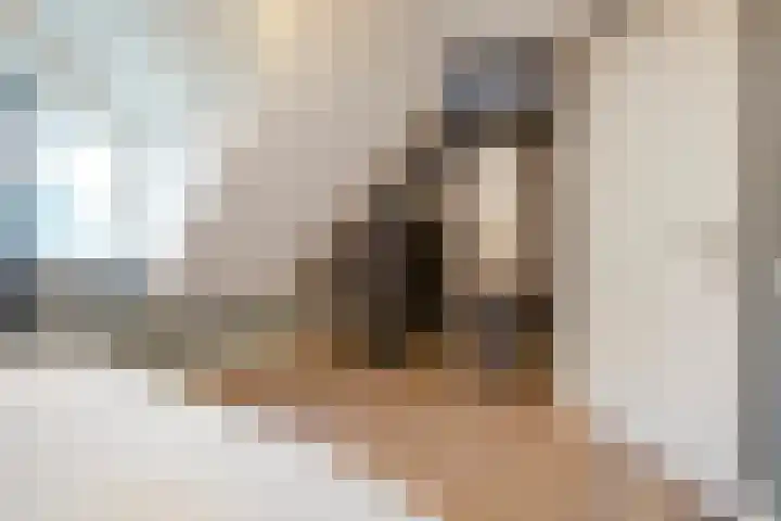 De Larinck 4 Den Ham thumbnail 28