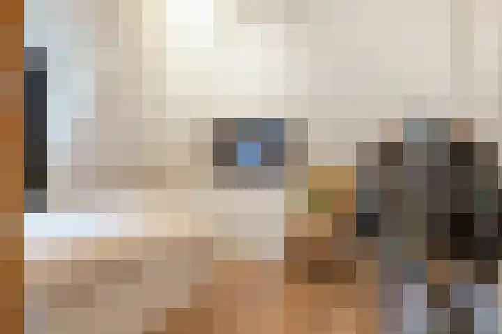 De Larinck 4 Den Ham thumbnail 30