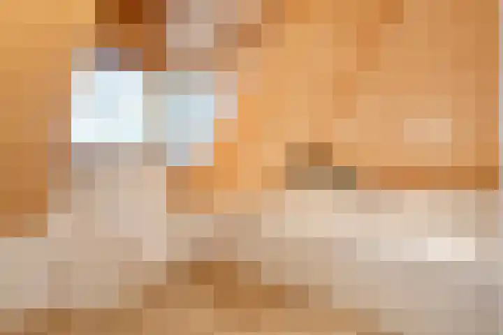 De Larinck 4 Den Ham thumbnail 33