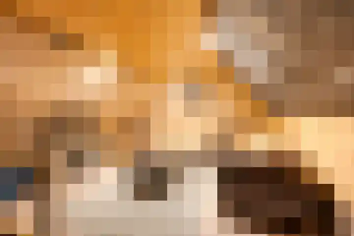 De Larinck 4 Den Ham thumbnail 36