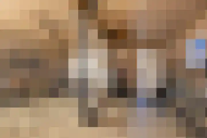 De Larinck 4 Den Ham thumbnail 38