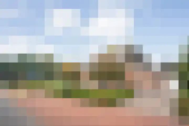 De Larinck 4 Den Ham thumbnail 4