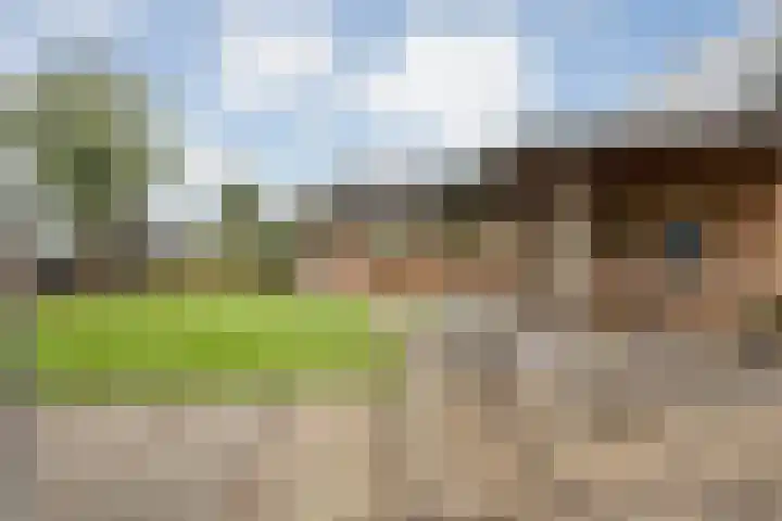 De Larinck 4 Den Ham thumbnail 40