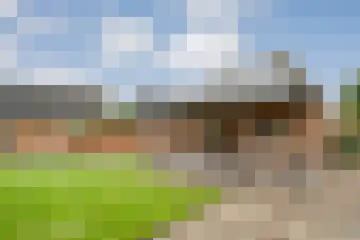 De Larinck 4 Den Ham thumbnail 41