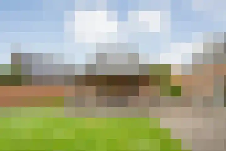 De Larinck 4 Den Ham thumbnail 42