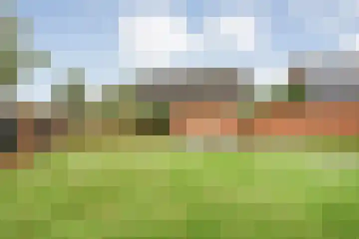 De Larinck 4 Den Ham thumbnail 43