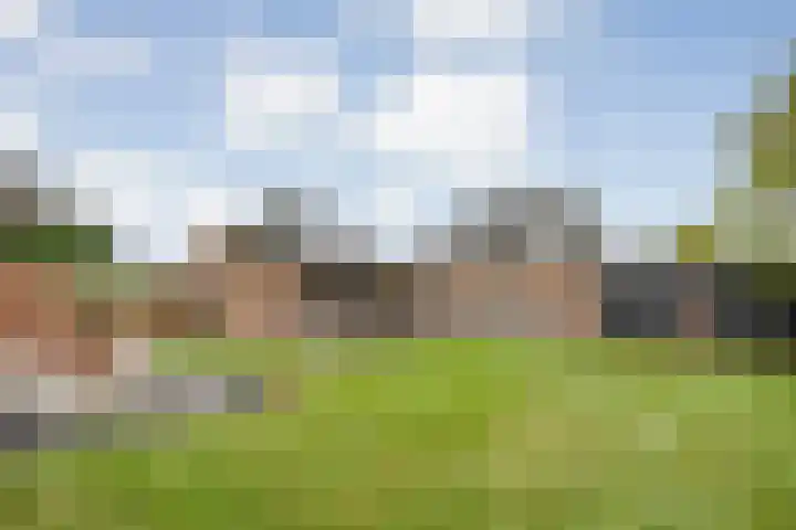 De Larinck 4 Den Ham thumbnail 44