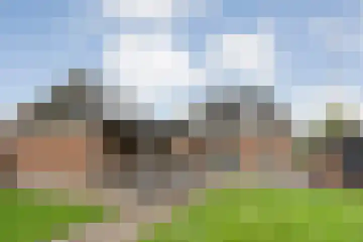 De Larinck 4 Den Ham thumbnail 45