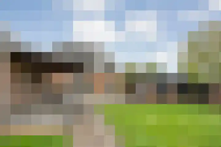 De Larinck 4 Den Ham thumbnail 46