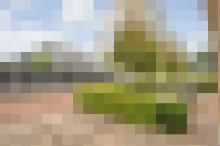 De Larinck 4 Den Ham thumbnail 5