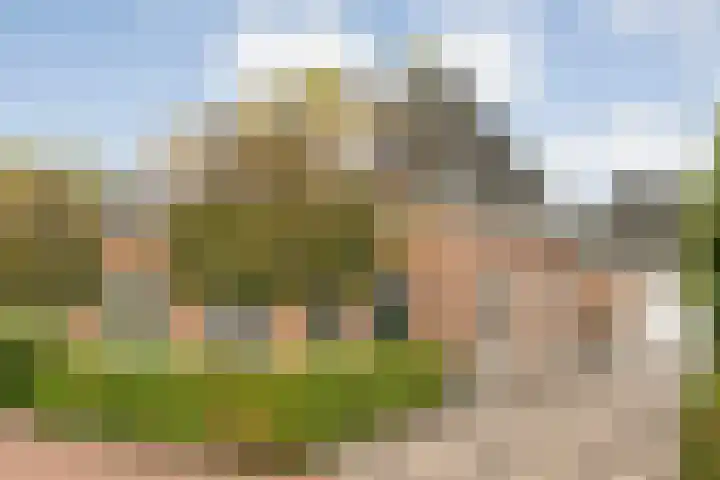 De Larinck 4 Den Ham thumbnail 6