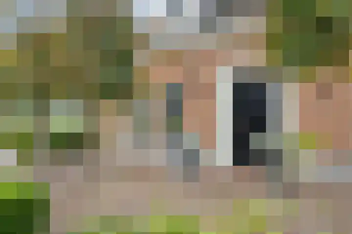 De Larinck 4 Den Ham thumbnail 9