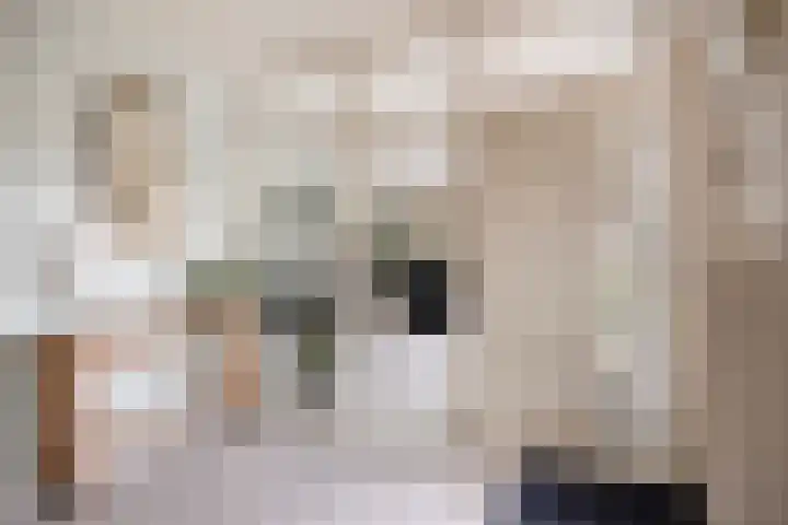 de Latpad 4 Eindhoven thumbnail 15