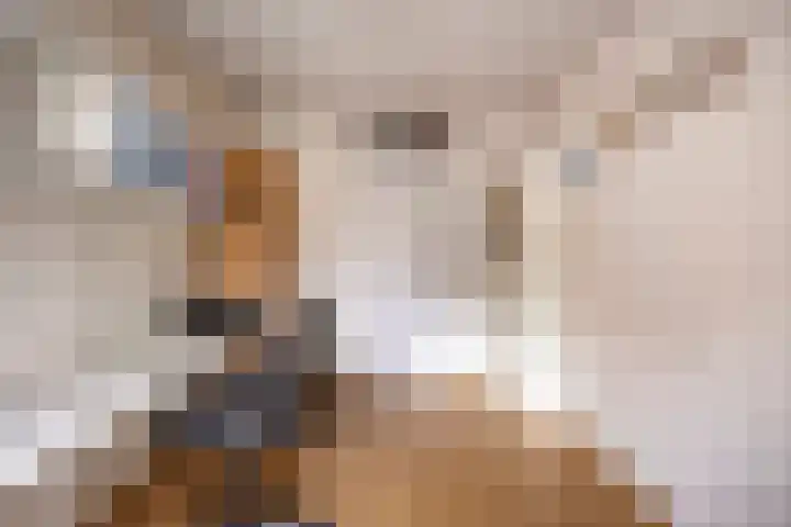 de Latpad 4 Eindhoven thumbnail 32