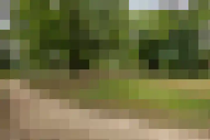 de Latpad 4 Eindhoven thumbnail 40