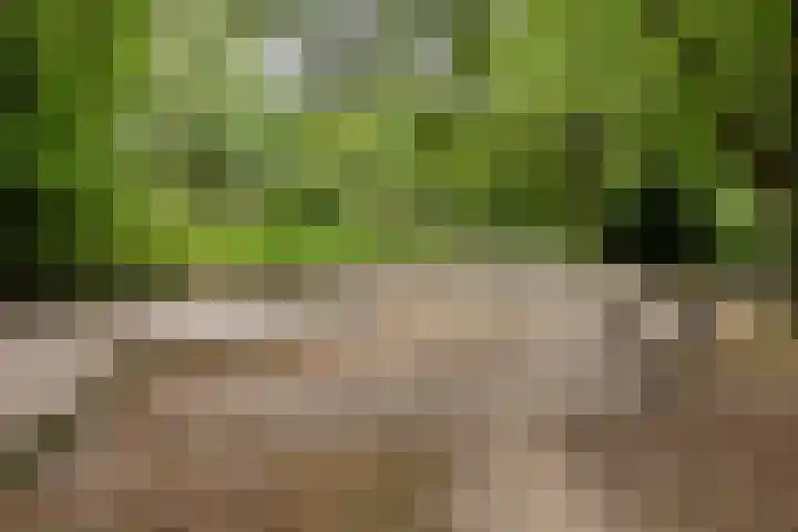 de Latpad 4 Eindhoven thumbnail 41