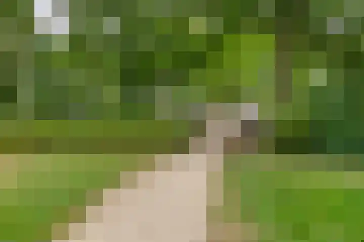 de Latpad 4 Eindhoven thumbnail 43