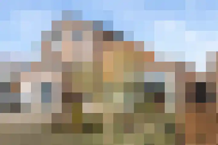De Lede 24 Zetten thumbnail 11