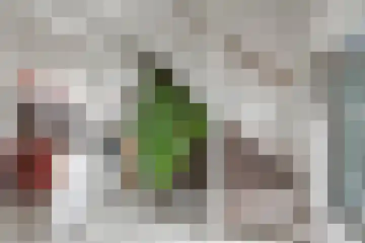 De Lede 24 Zetten thumbnail 36