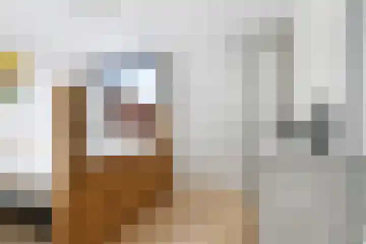 De Lede 24 Zetten thumbnail 41