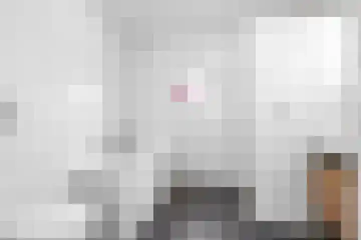 De Lede 24 Zetten thumbnail 42