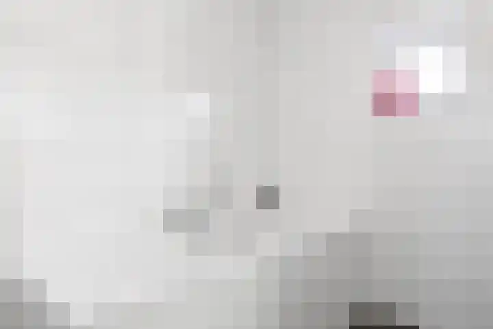 De Lede 24 Zetten thumbnail 44