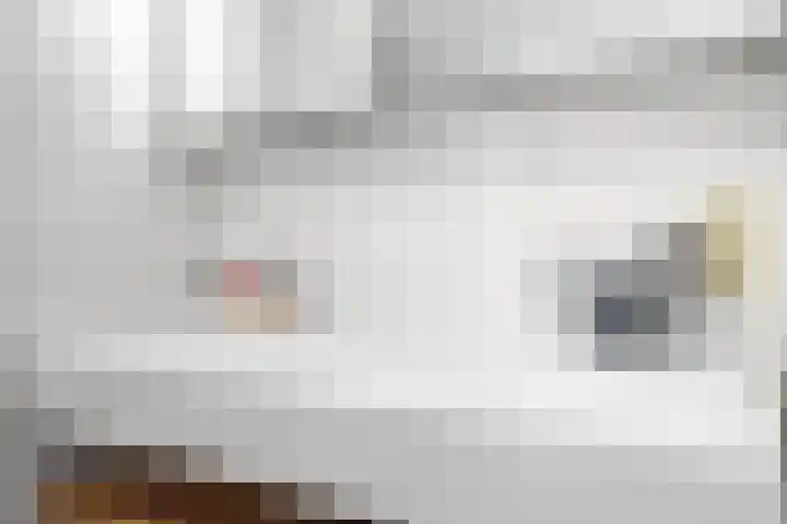 De Lede 24 Zetten thumbnail 45