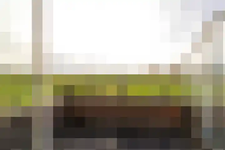De Lede 24 Zetten thumbnail 47