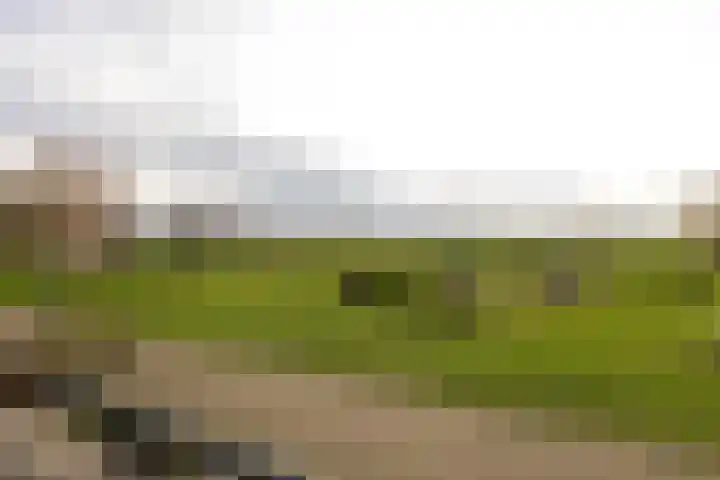 De Lede 24 Zetten thumbnail 48