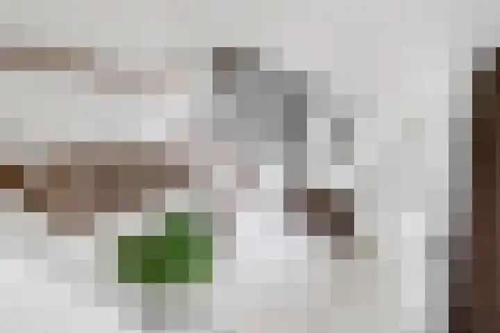 De Lede 24 Zetten thumbnail 5