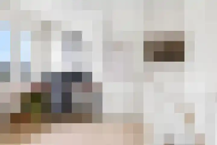De Lede 24 Zetten thumbnail 53