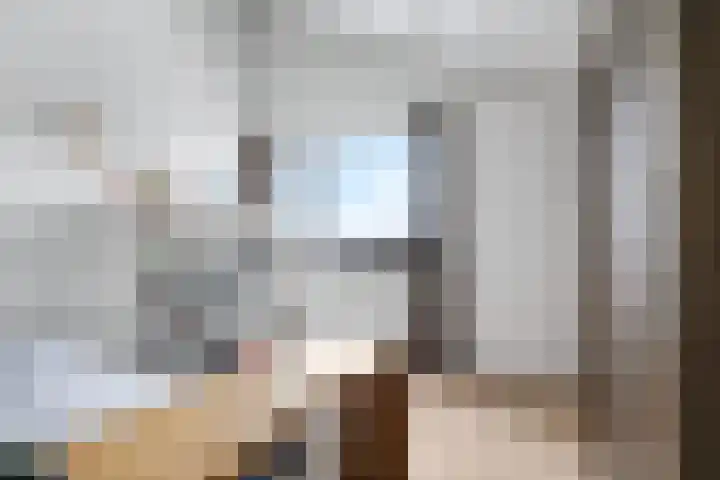 De Lede 24 Zetten thumbnail 55