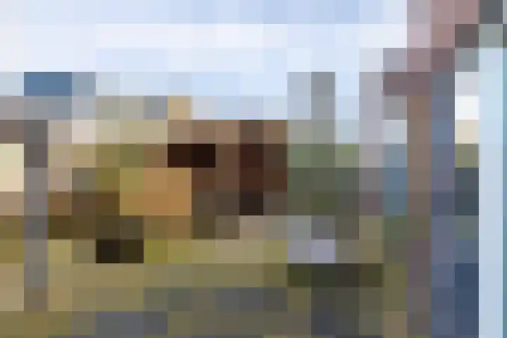 De Lede 24 Zetten thumbnail 61